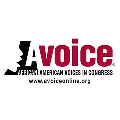 Voting Rights Act of 1965 activities