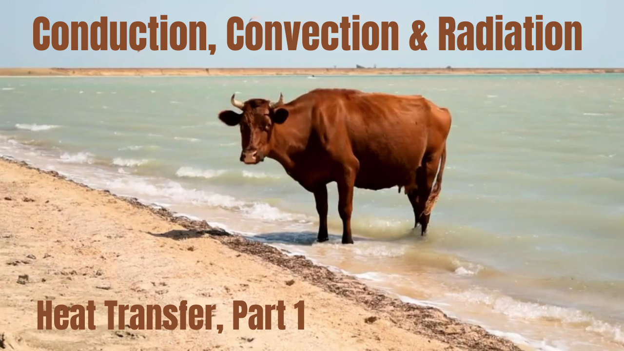 Conduction, Convection and Radiation. Video sheet, Google Forms & more (V3)